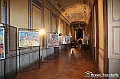 VBS_3995 - Mostra 'Alfieri Pop' di Filippo Pinsoglio